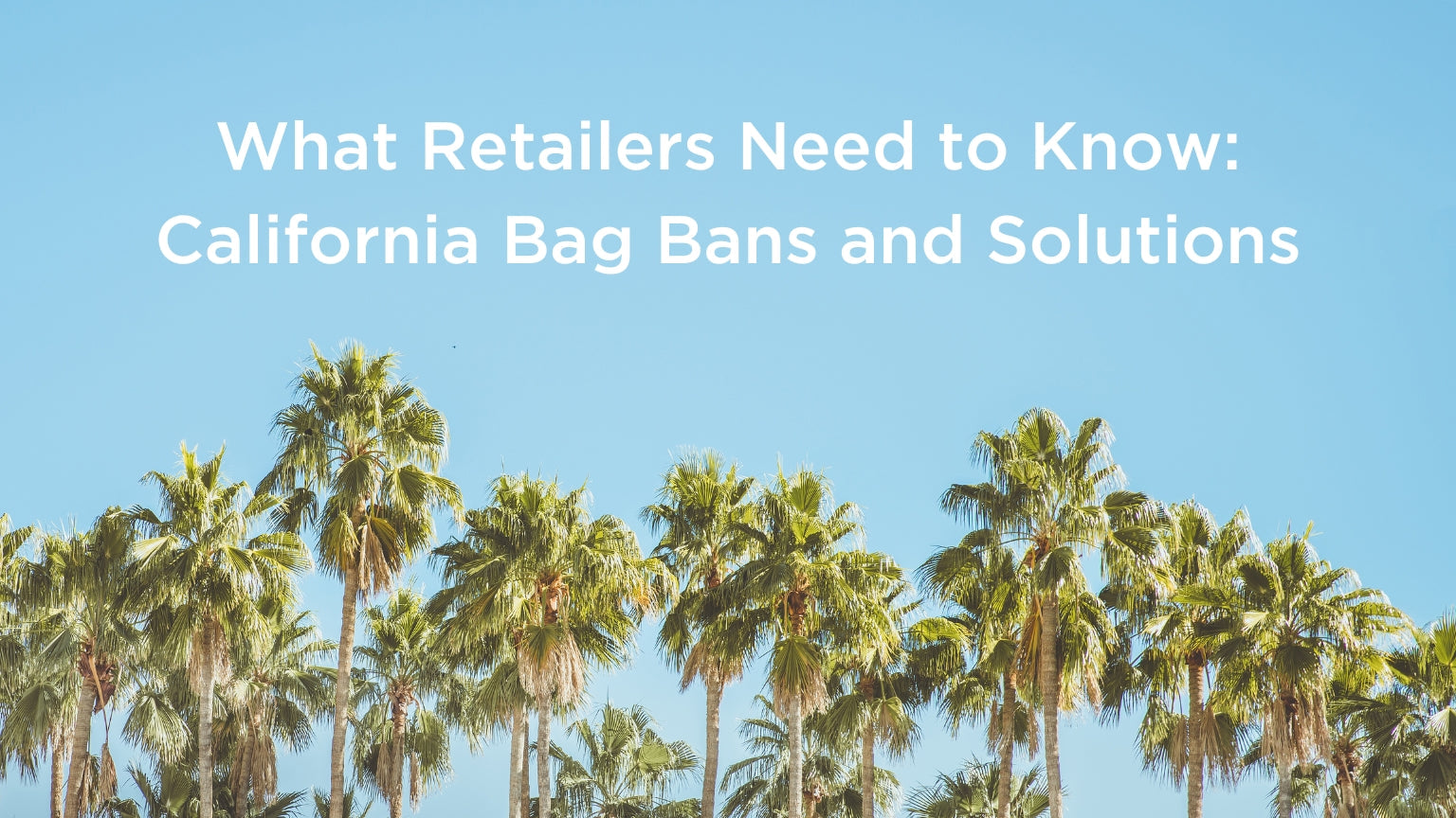 "What Retailers Need to Know: California Bag Bans and Solutions" text on background image of palm trees and clear blue skies.