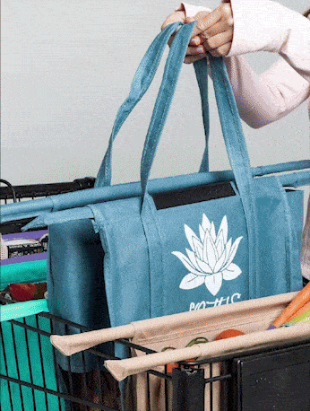 The Complete and Organized Reusable Trolley Bags Lotus Sustainables